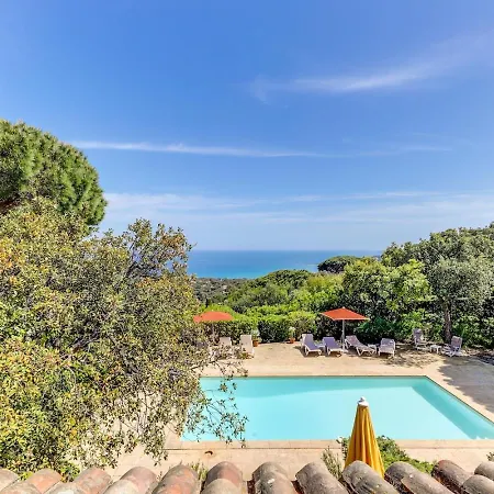 Provencale Face A La Sainte-Maxime